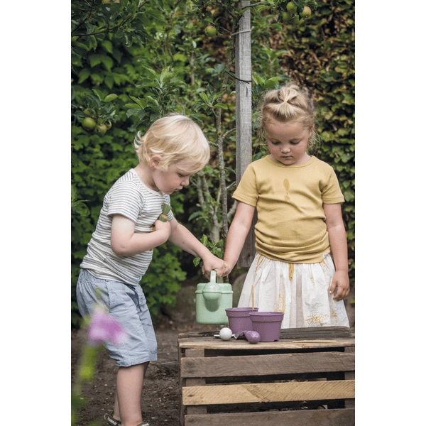 Dantoy Green Tuinplantenset 6 St. 2 Dantoy Green Tuinplantenset 6 St. - Afbeelding 2