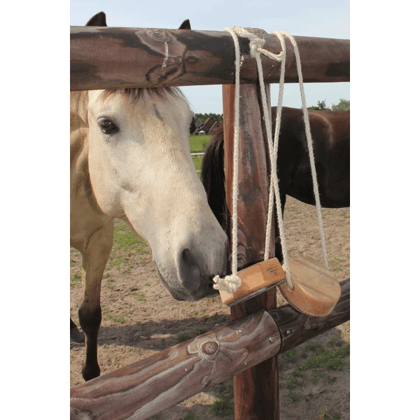 Helga Kreft Shaddy Hoeven 2 Helga Kreft Shaddy Hoeven - Afbeelding 2