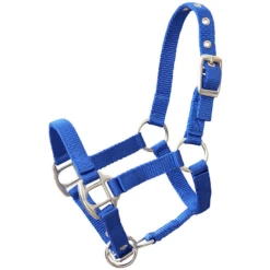 Helga Kreft Tuinpaardenset Tamme, Blauw -Buitenspeelgoed helga kreft tuinpaardenset tamme blauw a325389 4