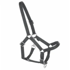 Helga Kreft Tuinpaardenset Tamme, Zwart 8 Helga Kreft Tuinpaardenset Tamme, Zwart -Buitenspeelgoed helga kreft tuinpaardenset tamme zwart a366700 3