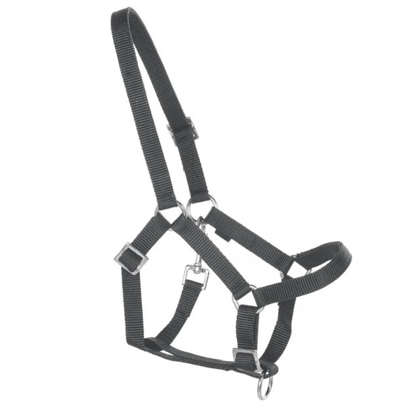 Helga Kreft Tuinpaardenset Tamme, Zwart 4 Helga Kreft Tuinpaardenset Tamme, Zwart - Afbeelding 4