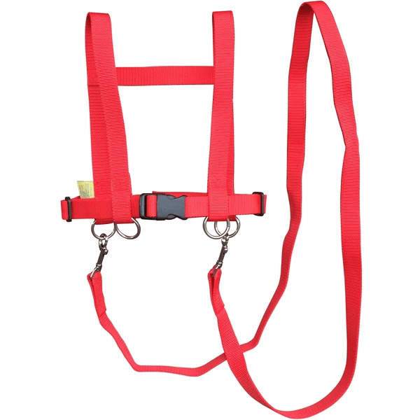 Helga Kreft Zügelmatz Paardenriem, Rood 3 Helga Kreft Zügelmatz Paardenriem, Rood - Afbeelding 3