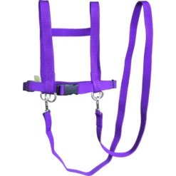 Helga Kreft Zügelmatz Paardenspeellijn, Paars 6 Helga Kreft Zügelmatz Paardenspeellijn, Paars -Buitenspeelgoed helga kreft zuegelmatz paardenspeellijn paars a334333 2