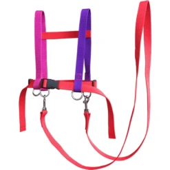 Helga Kreft Zügelmatz® Paardenspeellijn, Rood Gekleurd 6 Helga Kreft Zügelmatz® Paardenspeellijn, Rood Gekleurd -Buitenspeelgoed helga kreft zuegelmatz paardenspeellijn rood gekleurd a334335 2