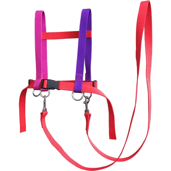 Helga Kreft Zügelmatz® Paardenspeellijn, Rood Gekleurd 3 Helga Kreft Zügelmatz® Paardenspeellijn, Rood Gekleurd - Afbeelding 3