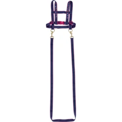 SPIEGELBURG COPPENRATH Paard Leiband Paardenvrienden